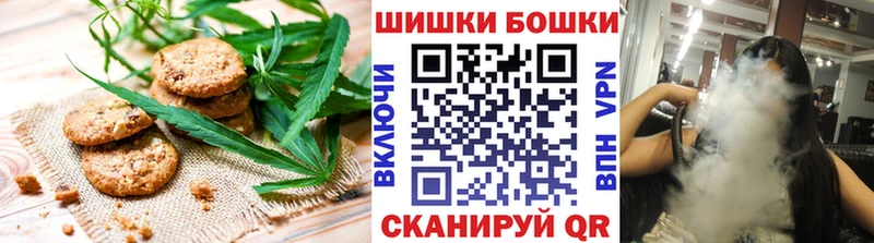 Cannafood конопля магазин продажи наркотиков Светлогорск