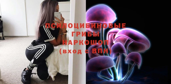 МДПВ Белокуриха