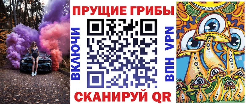 Псилоцибиновые грибы Cubensis  Светлогорск 